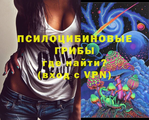стафф Аркадак