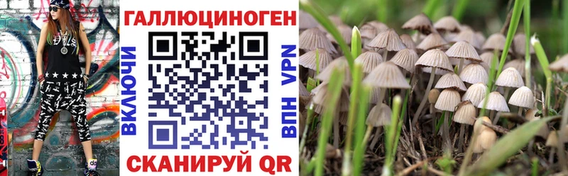 Галлюциногенные грибы Cubensis  наркошоп  Тамбов 