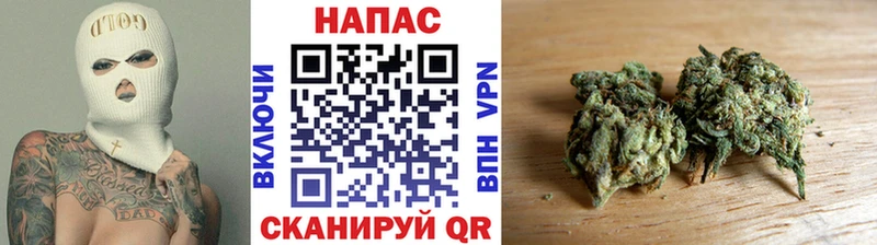 Каннабис план  Тамбов 